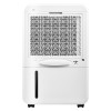 купить комплект: Осушитель воздуха Electrolux EDH-65L + метеостанция RITMIX CAT-041 WHITE в Нижнем Новгороде из категории Осушители воздуха от производителя Electrolux